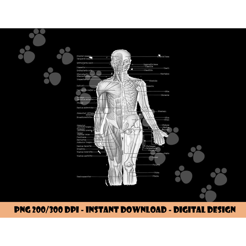 Human Muscle Anatomy Design Tshirt Gift Idea (1) copy.jpg