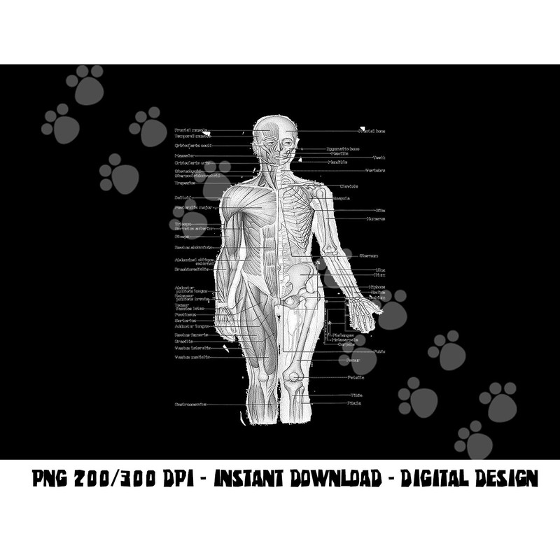 Human Muscle Anatomy Design Tshirt Gift Idea copy.jpg