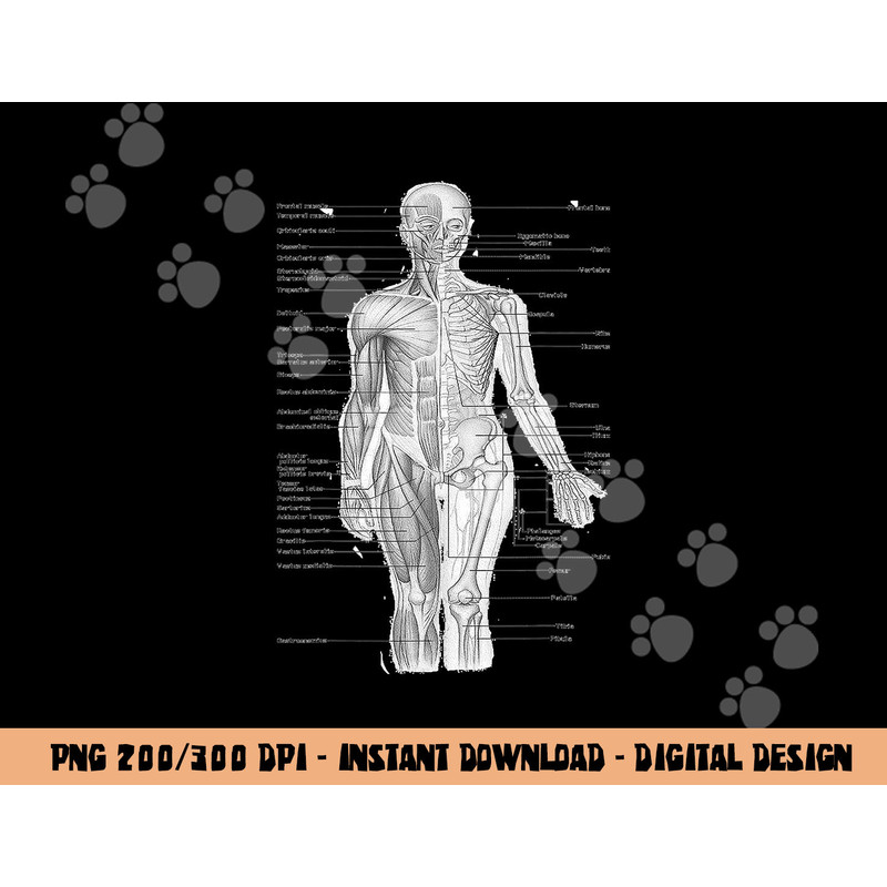 Human Muscle Anatomy Design Tshirt Gift Idea copy.jpg
