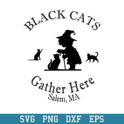 black cats gather here salem ma halloween svg, halloween svg, png dxf eps digital file
