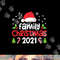 Family Christmas 2021 Matching Shirts Squad Santa Elf Funny png, sublimation copy.jpg