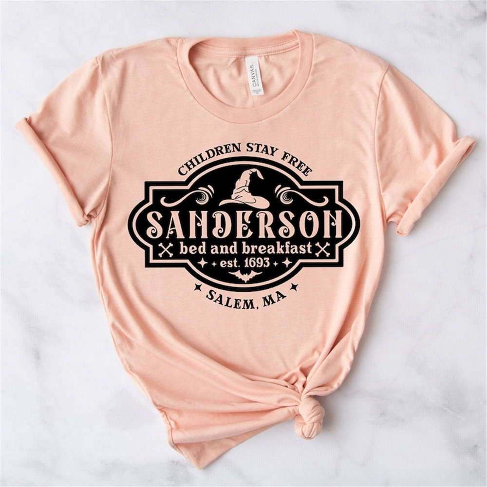 MR-48202375314-sanderson-bed-breakfast-tee-shirt-halloween-movie-shirt-image-1.jpg