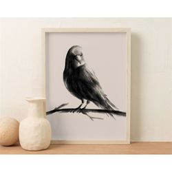 bird poster art vintage poster wall art illustration bird art wall decor for living room instant art