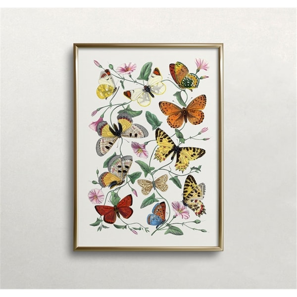 MR-48202392148-butterfly-wall-art-vintage-wall-art-butterflies-print-image-1.jpg