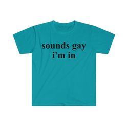 sounds gay i'm in funny meme t shirt