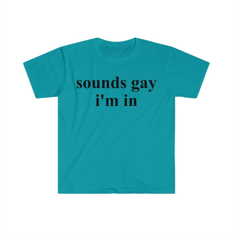MR-482023101036-sounds-gay-im-in-funny-meme-t-shirt-image-1.jpg