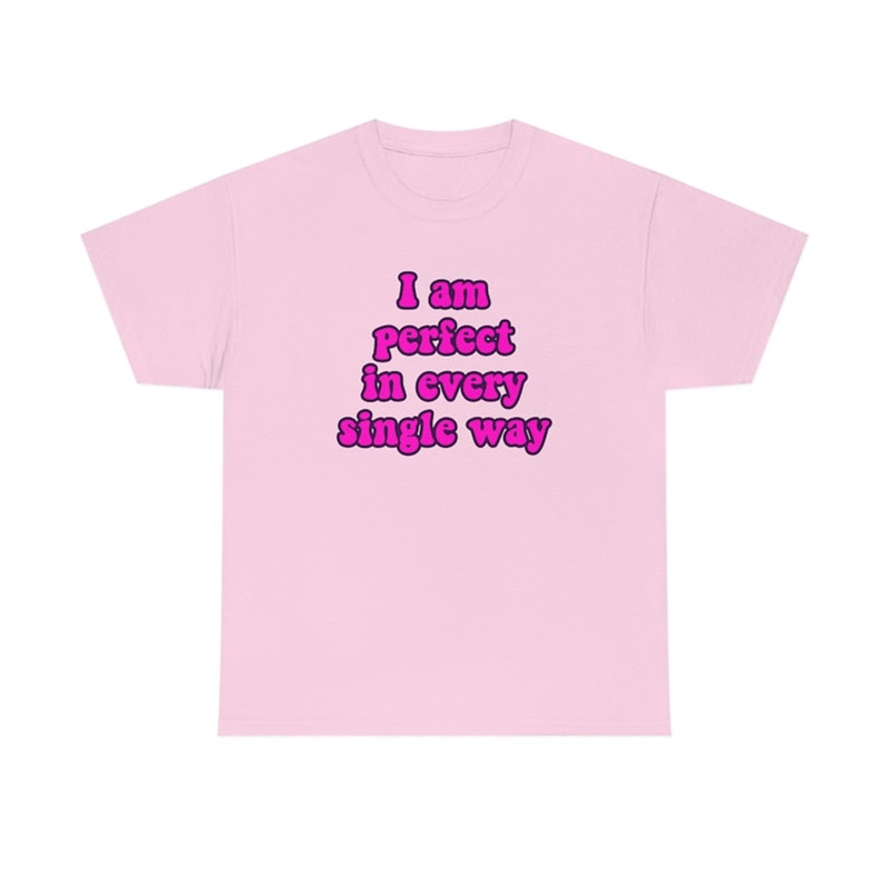 MR-482023105746-funny-y2k-meme-tshirt-i-am-perfect-in-every-single-way-image-1.jpg