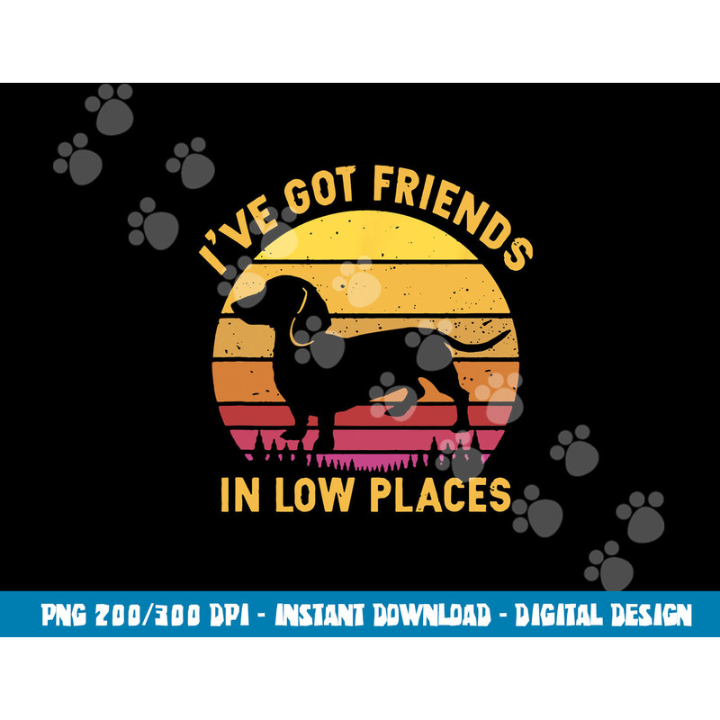 I ve got friends in low places funny dachshund apparel png, sublimation copy.jpg