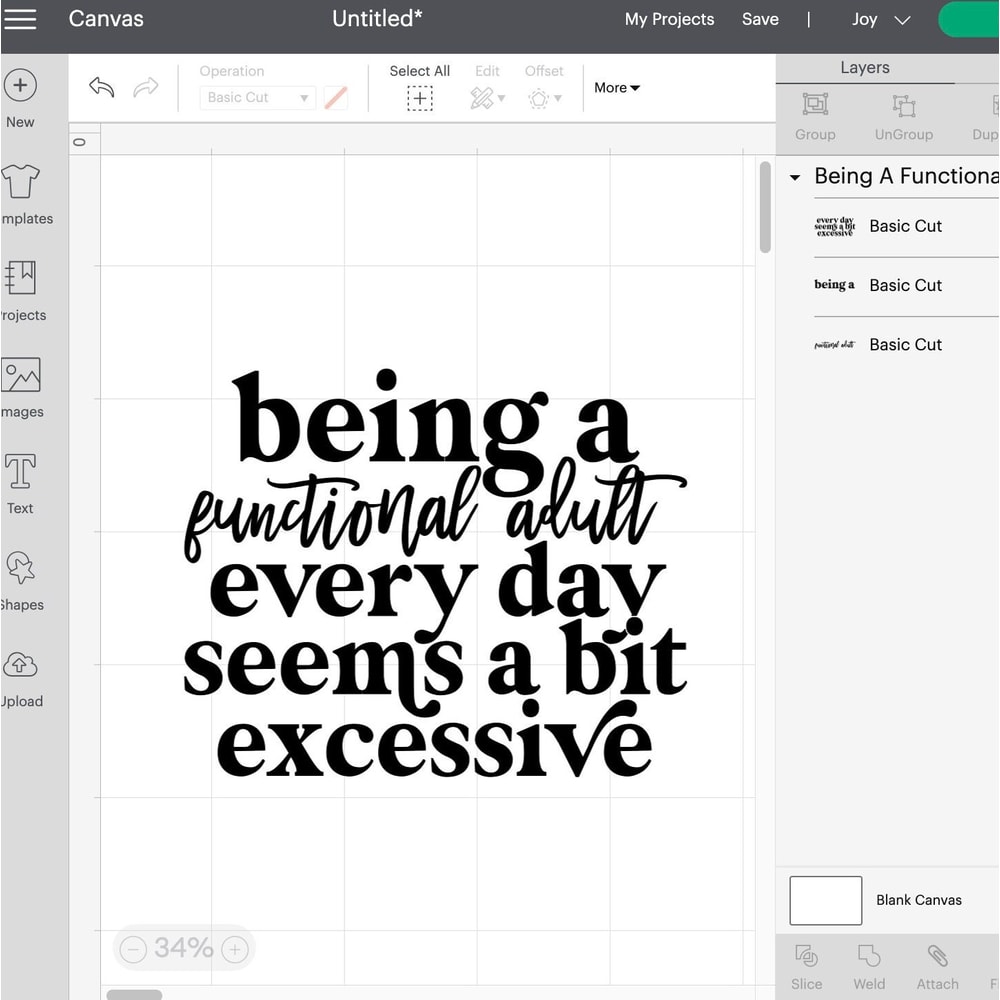 Being A Functional Adult Excessive svg, Cricut, Funny, Sarcastic Women's Designs, png Files for Cutting Machines, Sublimation, Digital File - 6.jpg