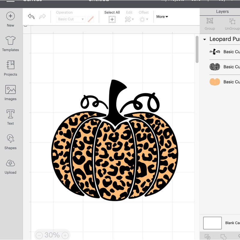 Leopard Print Pumpkin SVG, Buffalo Plaid Pumpkin SVG, Thanksgiving Pumpkin Svg, Cricut, Silhouette - 6.jpg