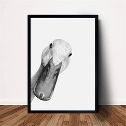 mallard duck poster canvas wall art home decor (no frame)