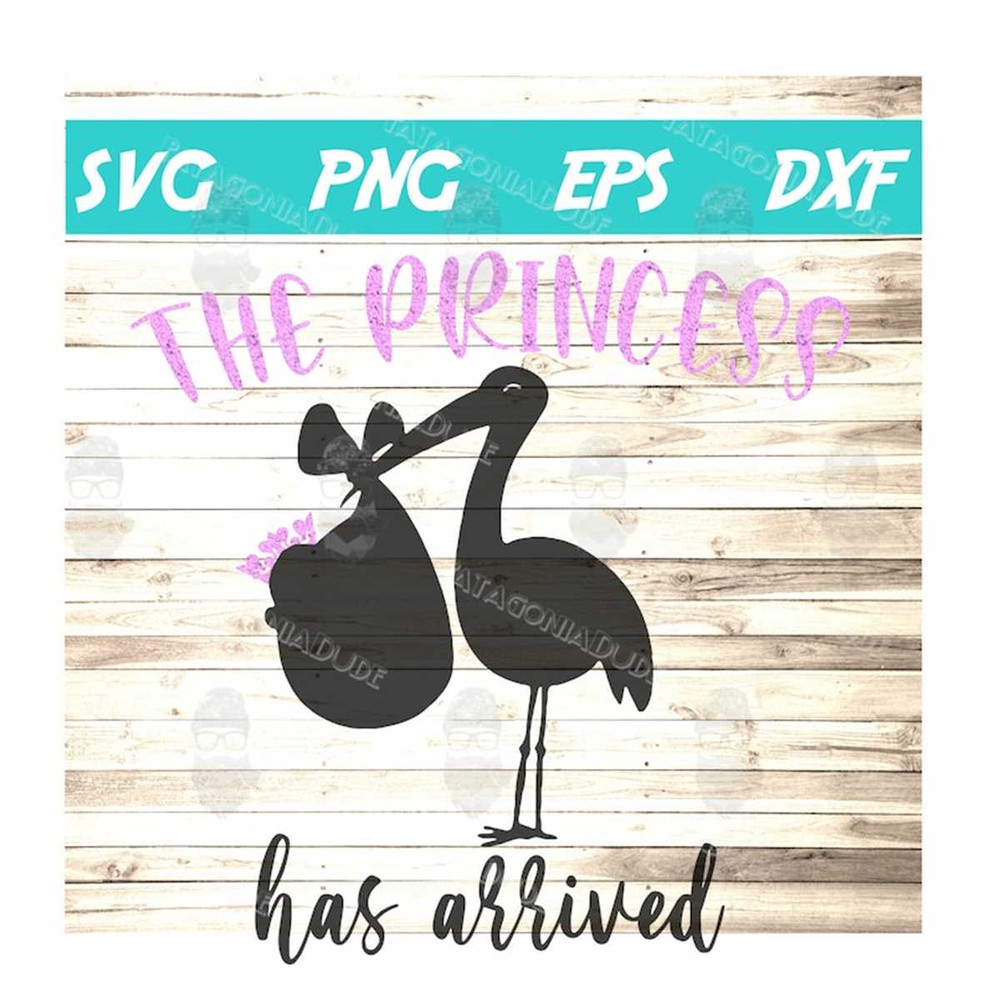 MR-58202393731-the-princess-has-arrived-svg-cricut-nursery-baby-image-1.jpg