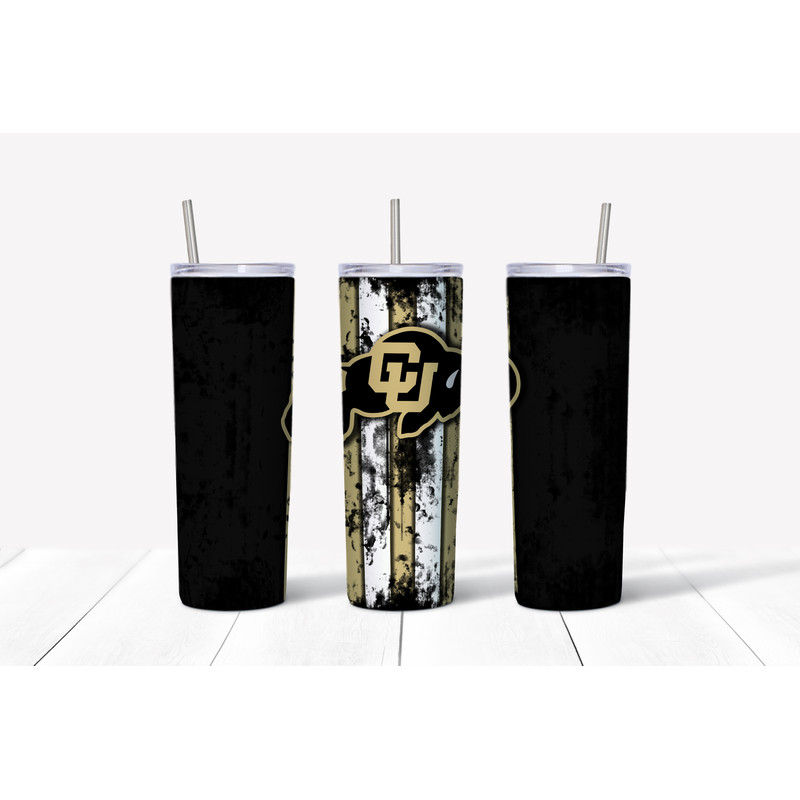 Colorado University Boulder Mockup.jpg