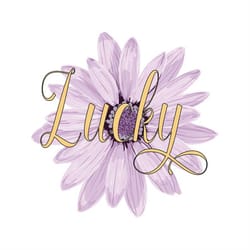 st patricks day svg, happy go lucky svg, lucky rainbow svg, irish svg, shamrock svg, lucky shirt, png silhouette cricut,