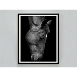 Horse Photography, Black and White, Horse Print, Digital Download, Horse Portrait, Horse Printable Wall Art, Horse Poste