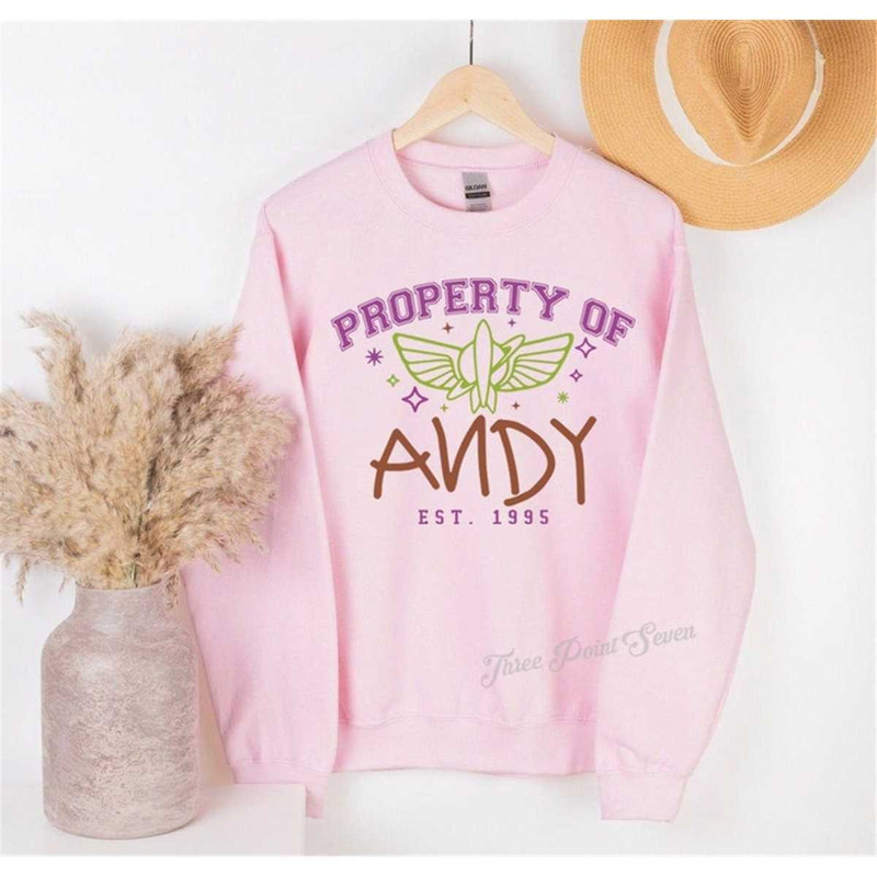 MR-58202315027-andy-toy-story-sweatshirt-toy-story-land-ride-trip-family-image-1.jpg