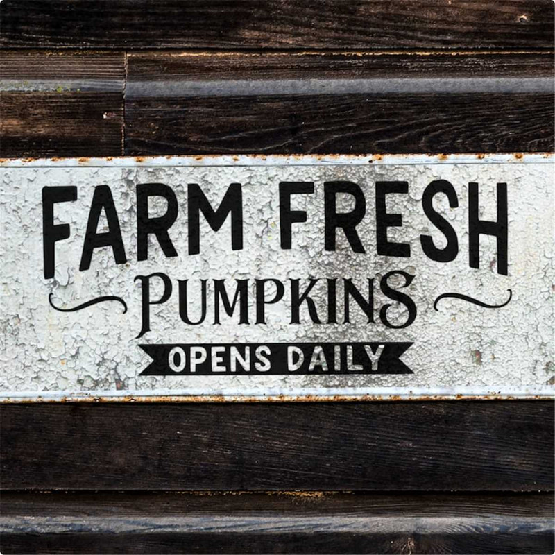MR-58202315324-farm-fresh-pumpkins-svg-farm-fresh-pumpkins-png-image-1.jpg