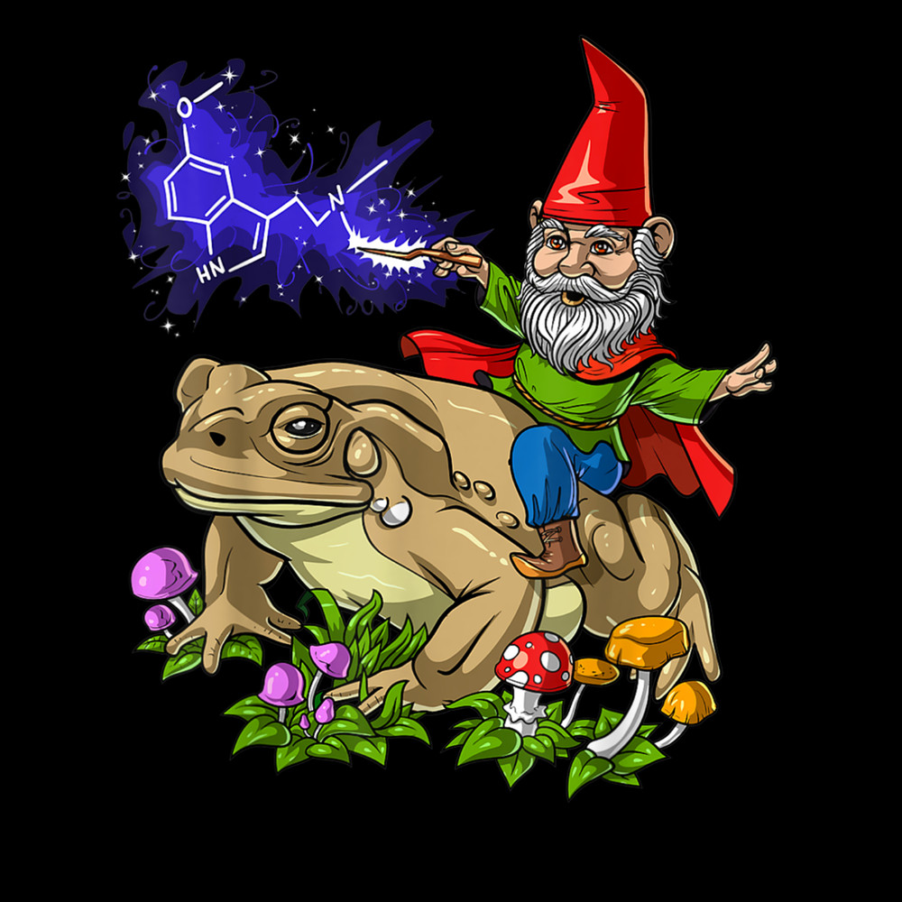 Gnome Riding Bufo Alvarius Toad 5 Meo DMT Psychedelic Frog T-Shirt.jpg