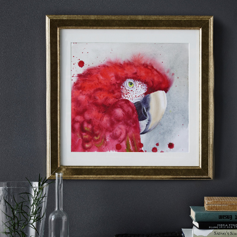 parrot head ara frame.jpg