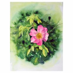 pink wild rose dog-rose briar original watercolor
