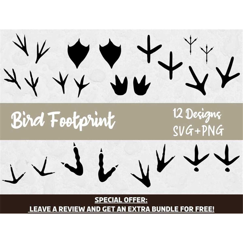 MR-682023121355-bird-footprint-svg-bundle-footprint-clipart-svg-files-for-image-1.jpg