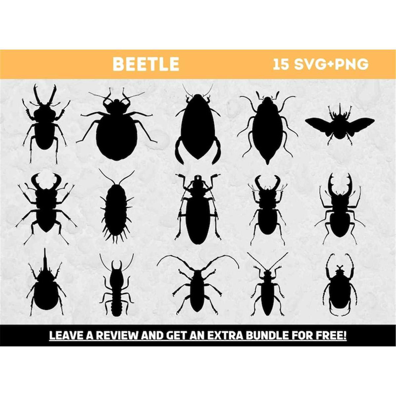 MR-682023121629-beetle-svg-svg-files-for-cricut-insect-svg-beetle-clipart-image-1.jpg