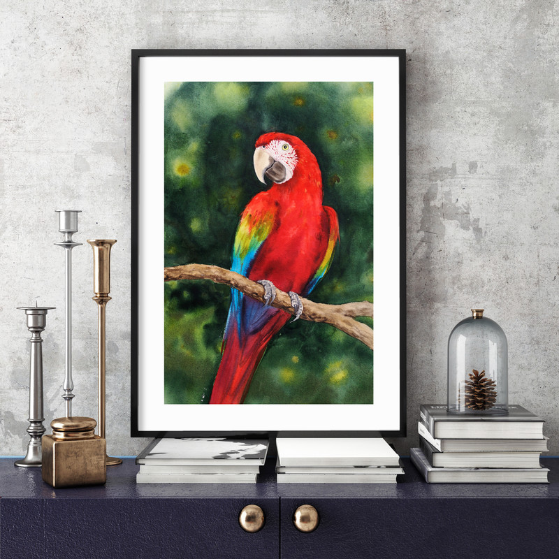 Scarlet macaw frame.jpg