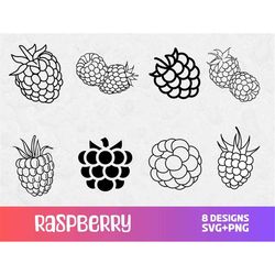 raspberry svg, raspberry png, svg files for cricut, svg bundle, food clipart, raspberry cut file, berries svg, fruit svg