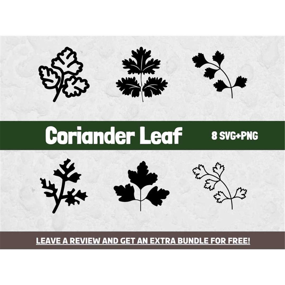 MR-682023183759-coriander-svg-svg-files-for-cricut-plant-svg-herb-svg-image-1.jpg