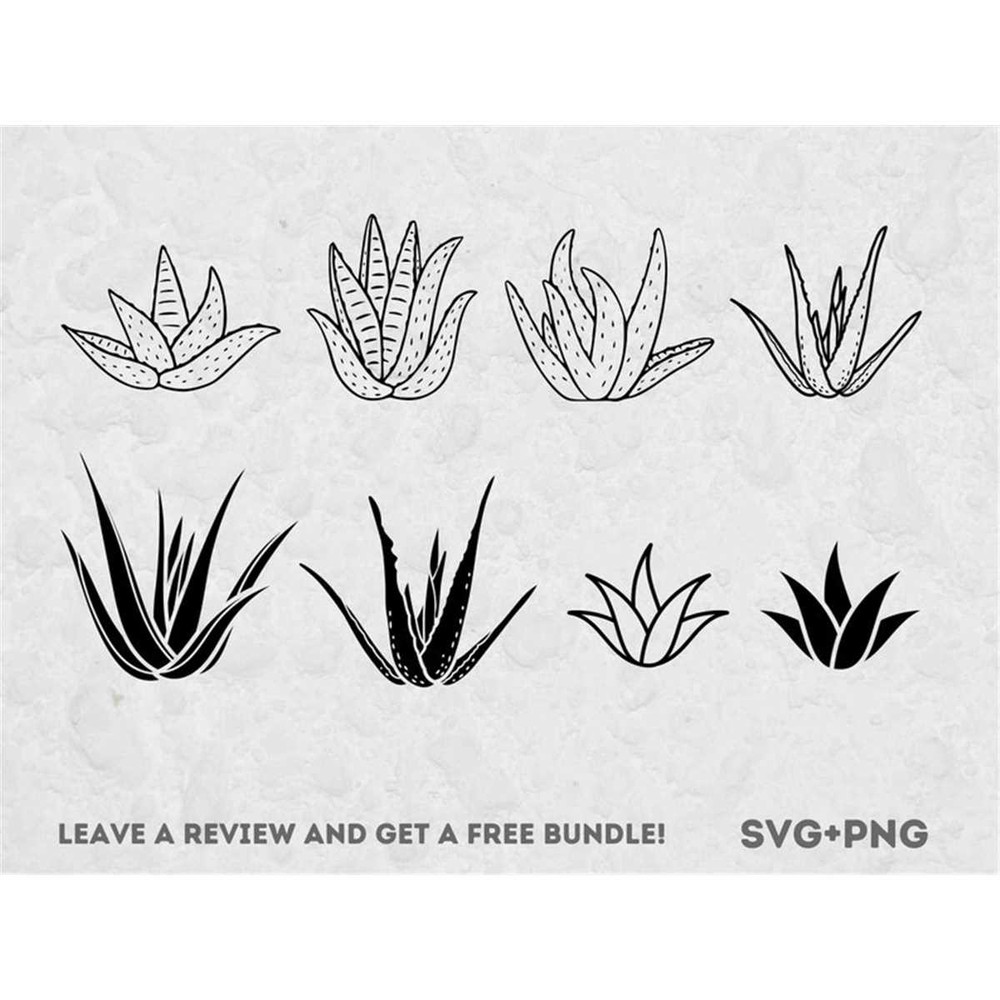 MR-682023183918-aloe-vera-svg-svg-files-for-cricut-plant-svg-medical-plant-image-1.jpg