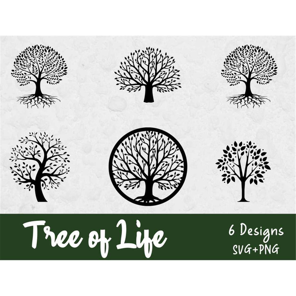 MR-68202319230-tree-of-life-svg-bundle-svg-files-for-cricut-tree-clipart-image-1.jpg