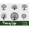 MR-68202319230-tree-of-life-svg-bundle-svg-files-for-cricut-tree-clipart-image-1.jpg