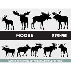 moose svg, svg files for cricut, moose clipart, wildlife clipart, nature svg, hunting svg, moose hunting svg, hunter svg