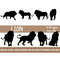 MR-68202319199-lion-svg-svg-files-for-cricut-lion-clipart-lion-png-animal-image-1.jpg