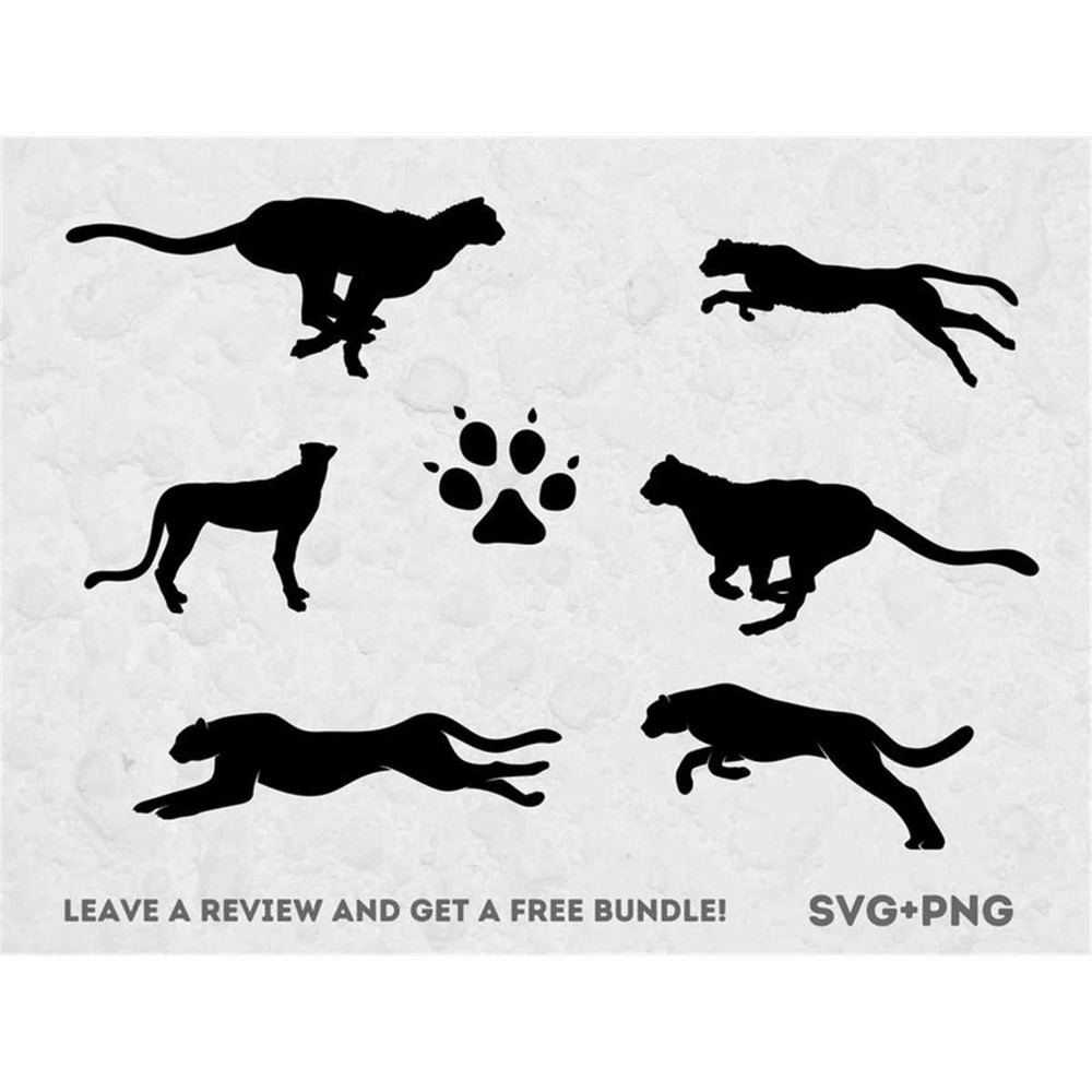 MR-682023192228-cheetah-svg-svg-files-for-cricut-zoo-svg-nature-svg-big-image-1.jpg