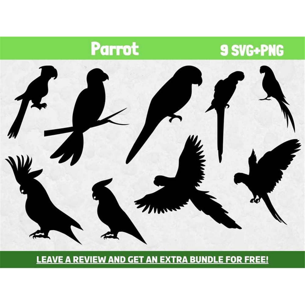 MR-68202319441-parrot-svg-bundle-svg-files-for-cricut-bird-lover-tropical-image-1.jpg