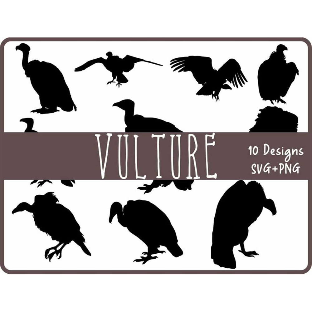 MR-68202319492-vulture-svg-bundle-svg-files-for-cricut-birds-of-prey-image-1.jpg