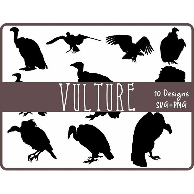 MR-68202319492-vulture-svg-bundle-svg-files-for-cricut-birds-of-prey-image-1.jpg