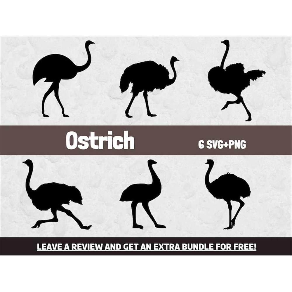 MR-68202320039-ostrich-svg-svg-files-for-cricut-zoo-svg-nature-svg-bird-image-1.jpg