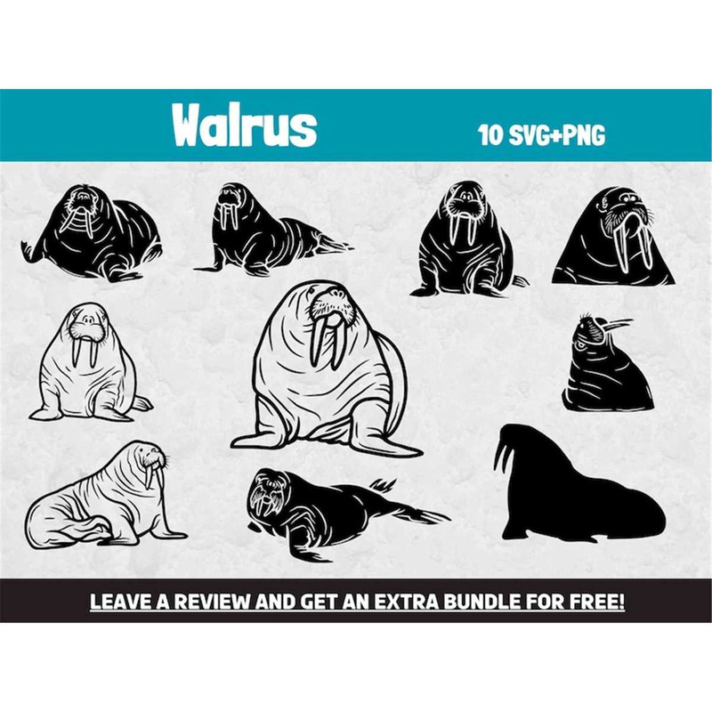 MR-682023203522-walrus-svg-bundle-svg-files-for-cricut-sea-creature-svg-image-1.jpg