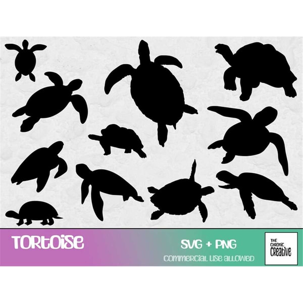 Turtle Svg Bundle, Svg Files for Cricut, Tortoise SVG, Turtl | Inspire ...