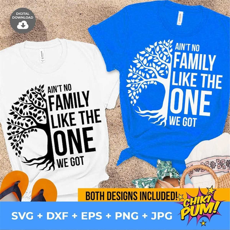 MR-682023214637-aint-no-family-like-the-one-we-got-svg-png-eps-dxf-image-1.jpg
