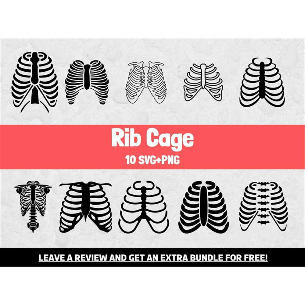 MR-68202321533-rib-cage-svg-bundle-anatomy-svg-svg-files-for-cricut-image-1.jpg