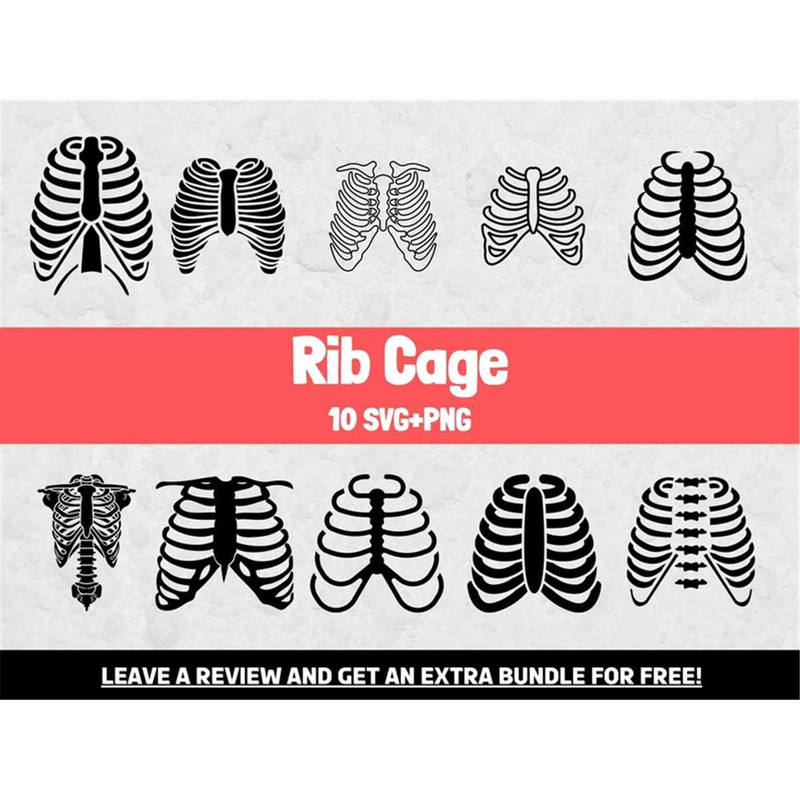MR-68202321533-rib-cage-svg-bundle-anatomy-svg-svg-files-for-cricut-image-1.jpg