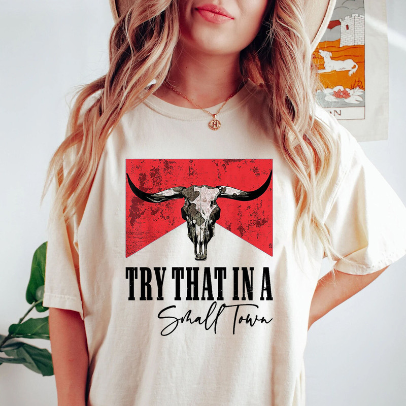 Vintage Try That In A Small Town Shirt Ason Aldean Shirt Country Music Shirt - 3.jpg