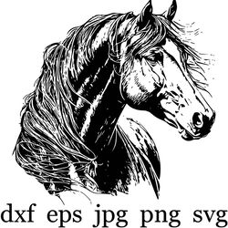 beautiful horse svg for cricket and silhouette, horse svg, horse head svg, horse svg eps dxf png instant download
