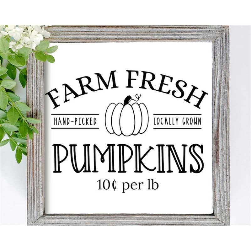 MR-78202314730-farm-fresh-pumpkins-svg-fall-svg-pumpkin-svg-farm-fresh-image-1.jpg