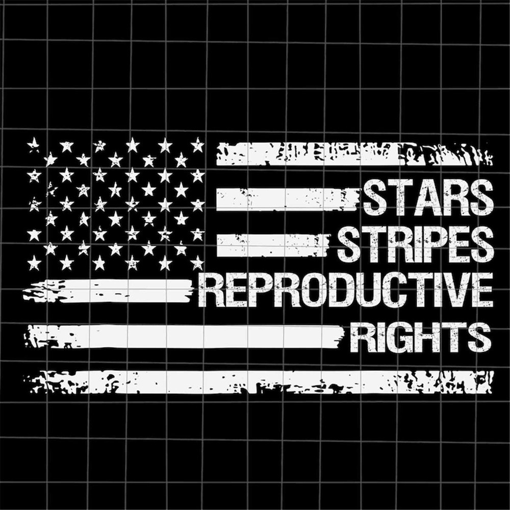 MR-7820232148-stars-stripes-and-reproductive-rights-flag-usa-svg-pro-roe-image-1.jpg