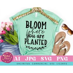bloom where you are planted svg, inspirational svg, motivational svg, self love svg, positive sayings svg, quotes svg, c