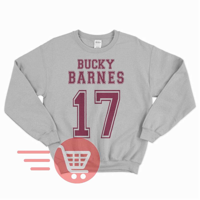MR-7820238540-bucky-barnes-sweatshirt-bucky-barnes-sweater-sebastian-stan-sport-grey.jpg